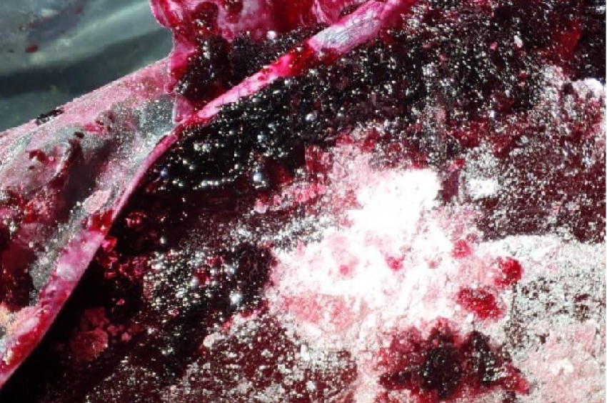 Doi bărbați reținuți. Transport de cocaină disimulat în pulpă de fructe